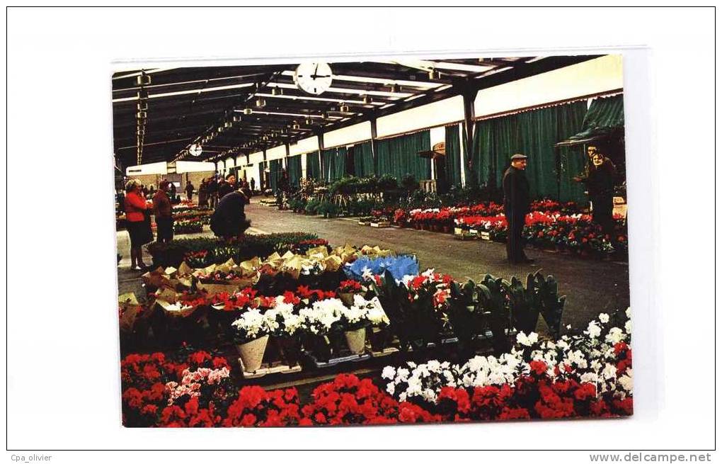 94 RUNGIS Halles De Paris Rungis, Pavillon Des Fleurs En Pots, Fleuristes, Ed Yvon 2191, CPSM 10x15, 197? - Rungis