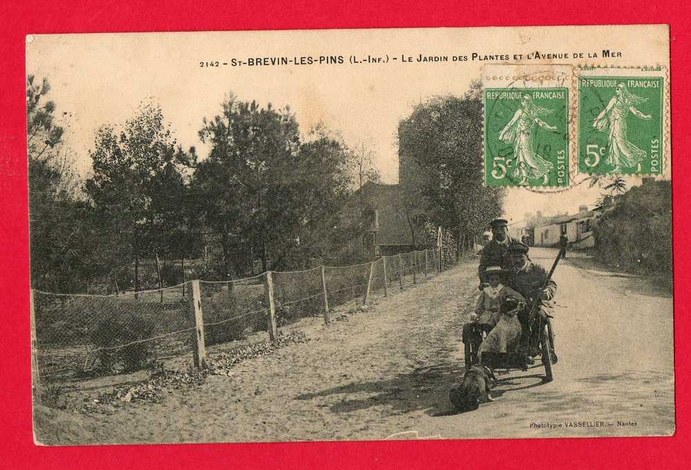 SAINT BREVIN LES PINS Le Jardin Des Plantes Et L'Avenue De La Mer. (Voiture à Chiens ?) - Saint-Brevin-les-Pins