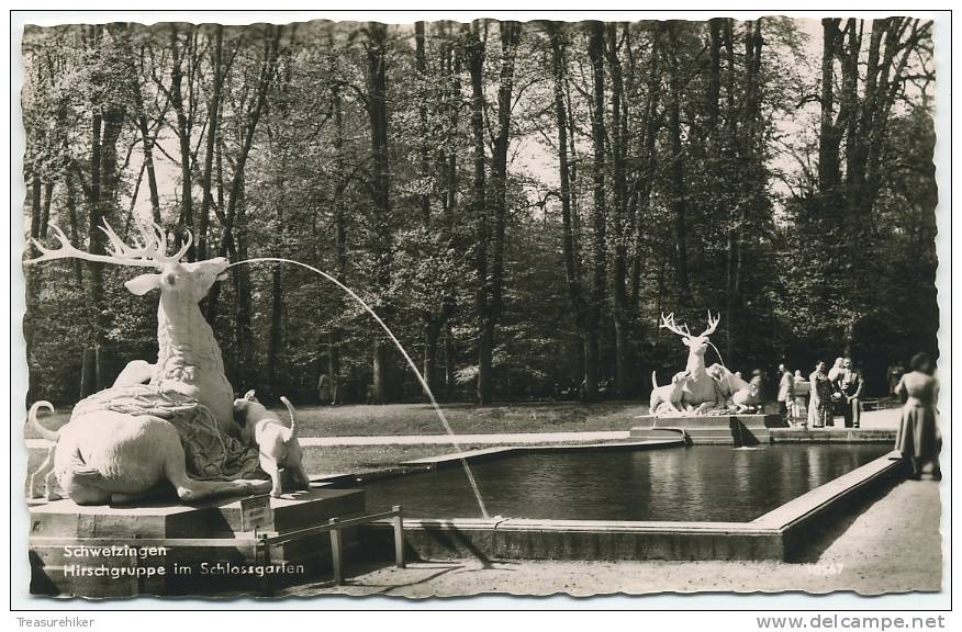 GERMANY ~ RPPC Hirschgruppe Im Schlossgarten SCHWETZINGEN C1950's Real Photo Postcard - Schwetzingen