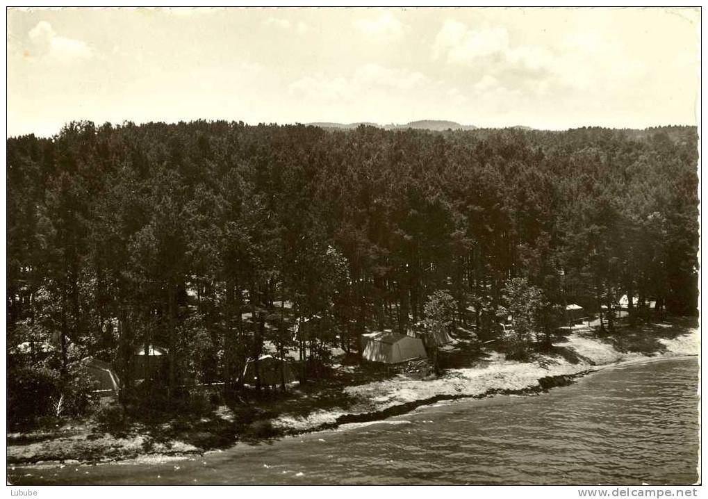 Yvonand - Plage, Camping      Ca. 1950 - Yvonand