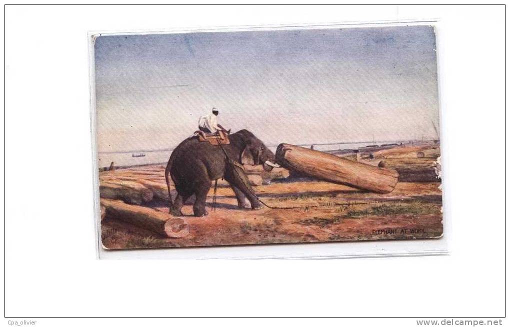 TH Illustrateur, Tuck Oilette, Elephants At Work, Elephant D'Asie, Transport De Tronc, Ed Tuck 8902/B, 191? - Tuck, Raphael