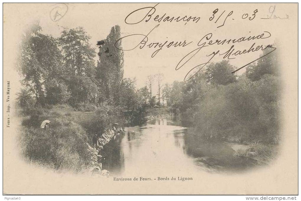 Cp , 42 , FEURS , Environs , Bords Du Lignon - Feurs