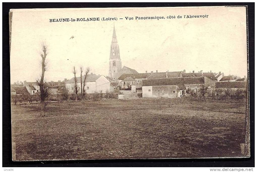 CPA  ANCIENNE- FRANCE- BEAUNE-LA-ROLANDE (45)- VUE PANORAMIQUE COTÉ DE L'ABREUVOIR - Beaune-la-Rolande
