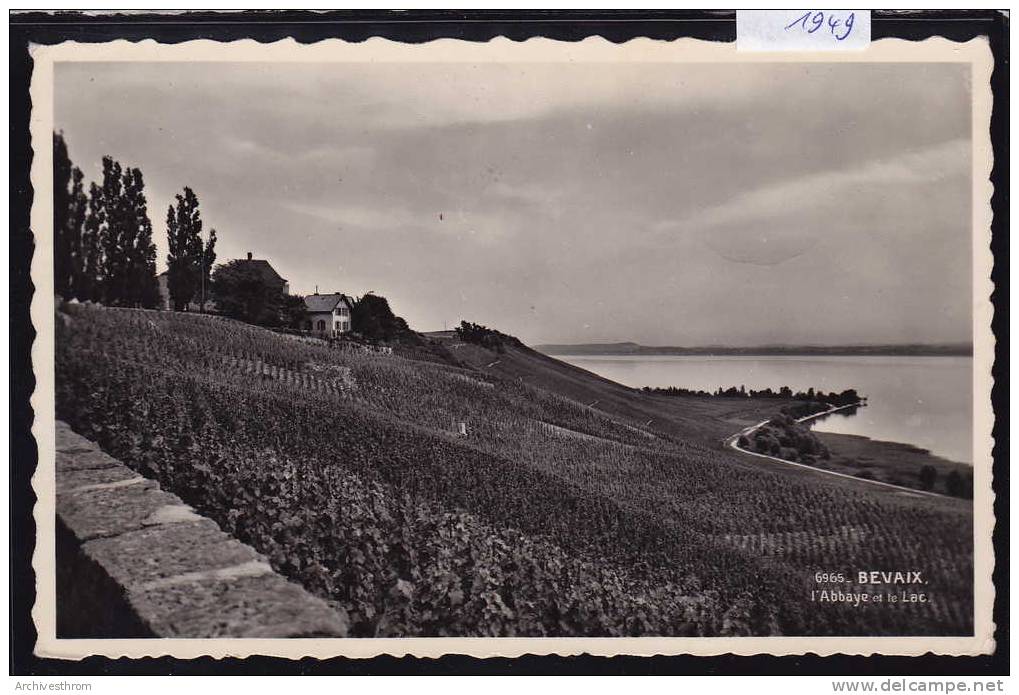 Bevaix ; L'Abbaye Les Vignes Et Le Lac (1949) - Bevaix