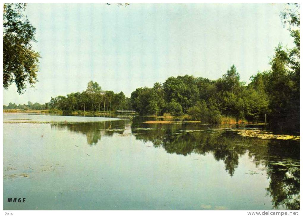 FONTAINE SUR SOMME  (Somme)   - L´ Etang De Fontaine - Autres & Non Classés