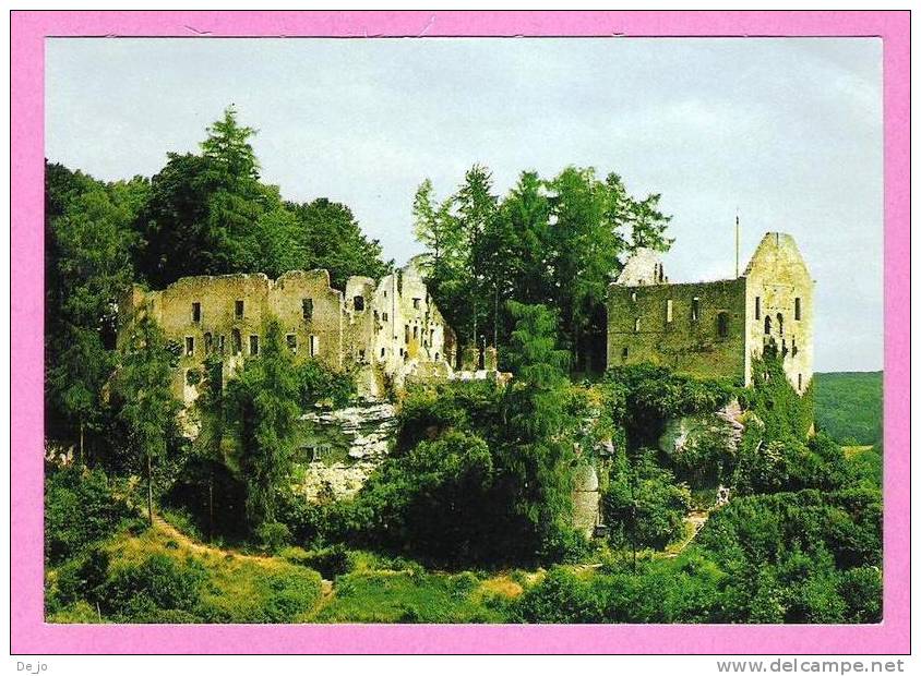 Panorama - Le Château Féodal - 14 E Siècle - Larochette