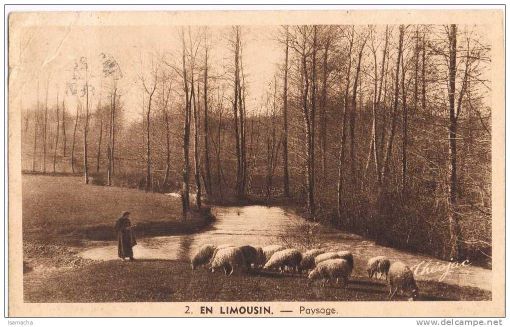 En Limousin  Paysage  Bergere Et Moutons - Limousin