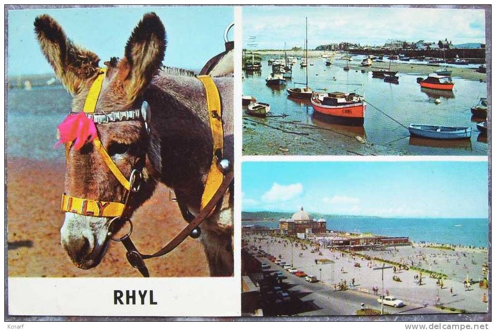 CP De RHYL " The Harbour , Promenade And Pavillon " . - Denbighshire