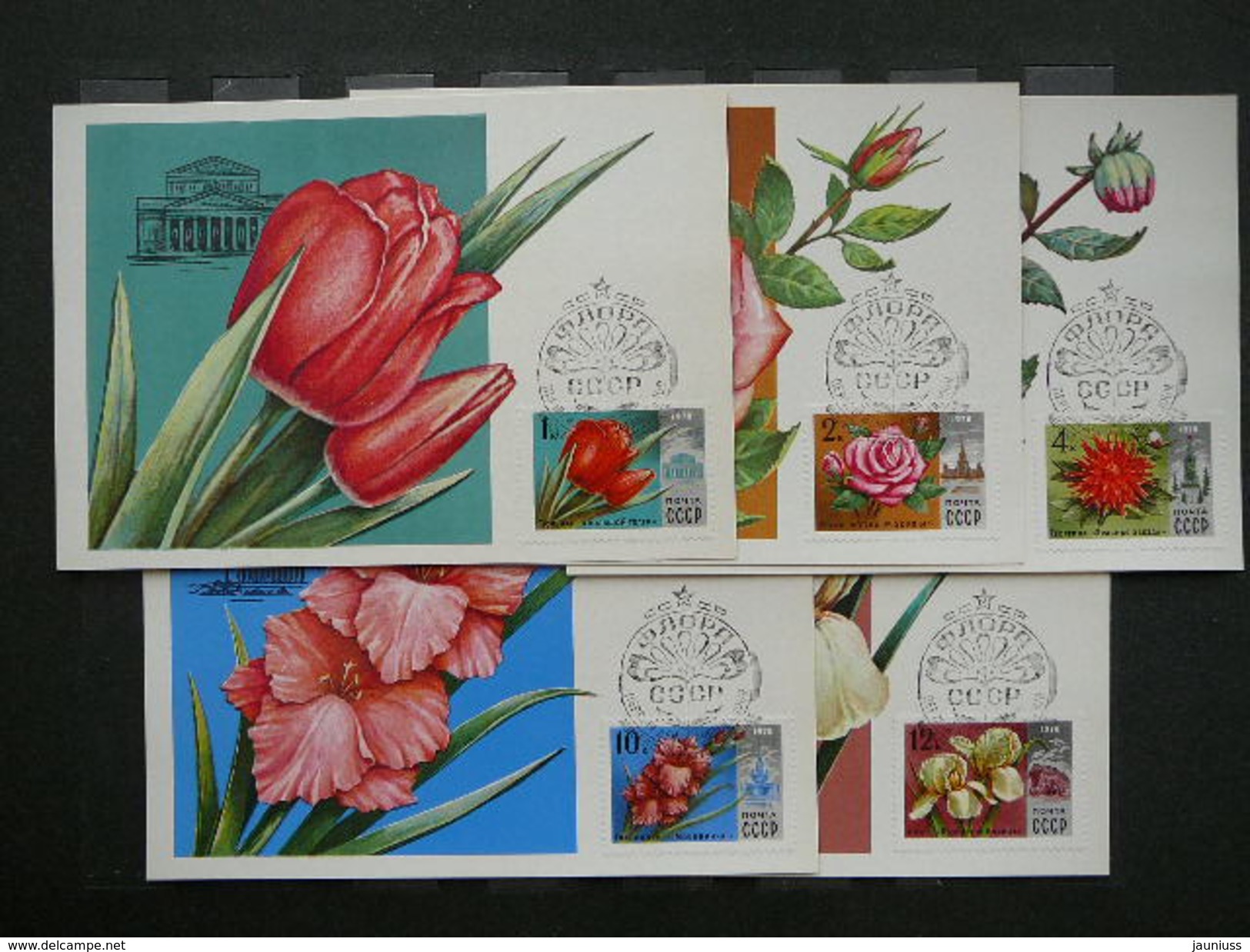 Flowers # USSR Russia Sowjetunion 5x Cards 1978 Maximum Card - Cartes Maximum