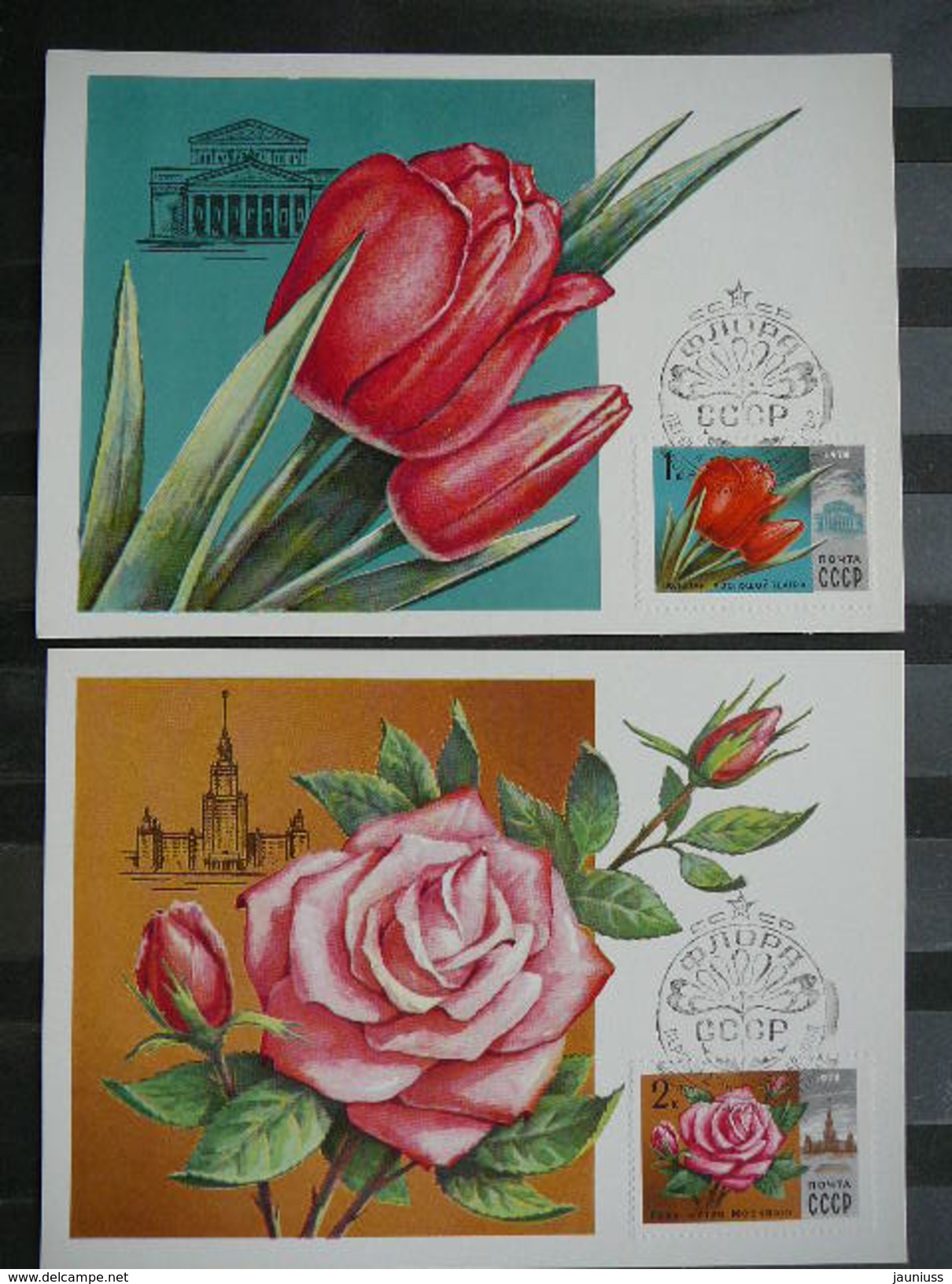 Flowers # USSR Russia Sowjetunion 5x Cards 1978 Maximum Card - Cartes Maximum