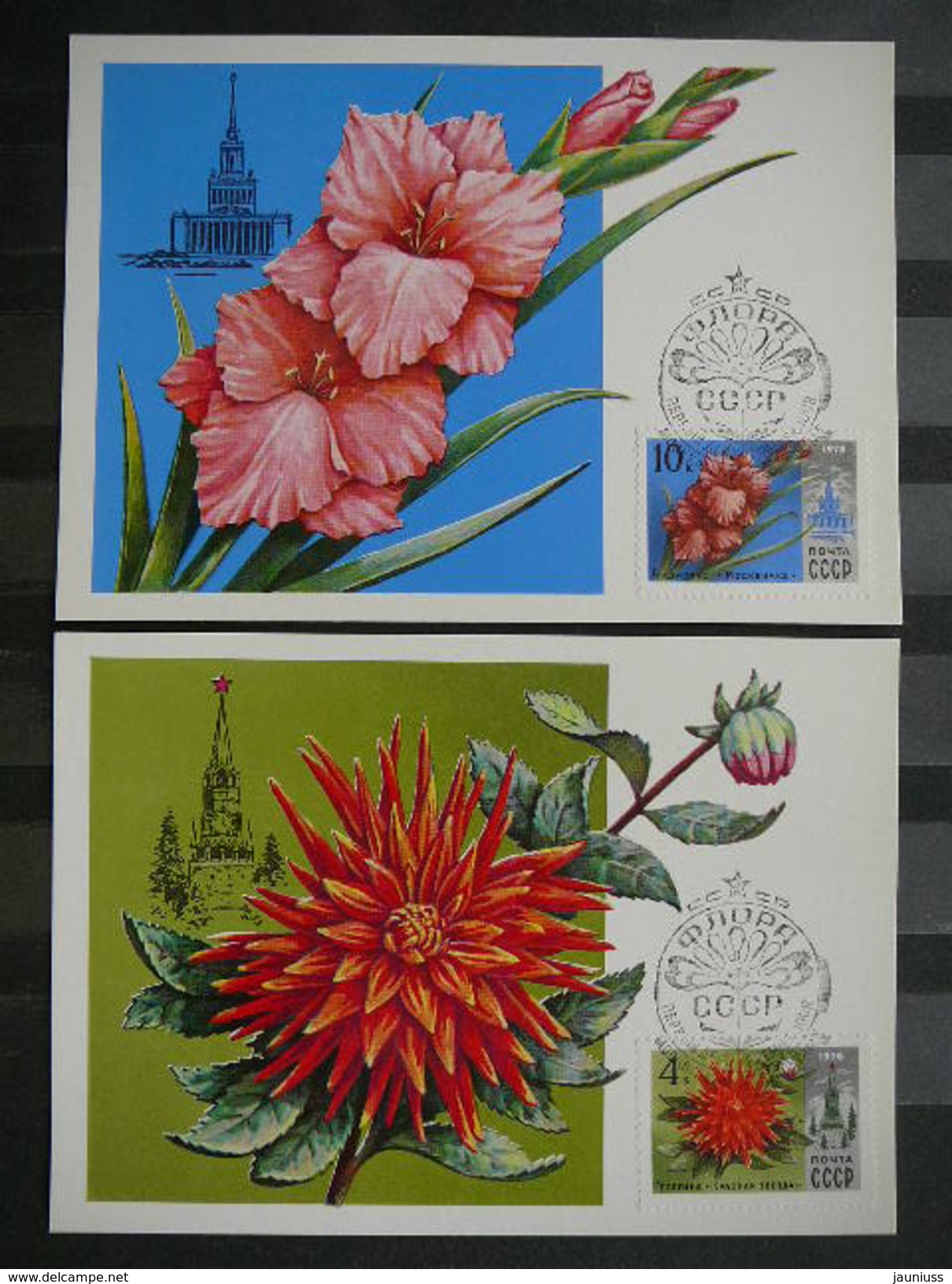 Flowers # USSR Russia Sowjetunion 5x Cards 1978 Maximum Card - Tarjetas Máxima