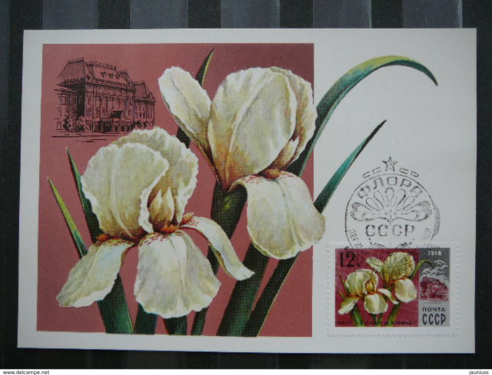Flowers # USSR Russia Sowjetunion 5x Cards 1978 Maximum Card - Tarjetas Máxima