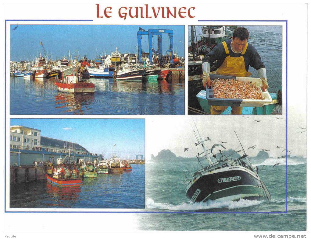 Carte Postale 29. Guilvinec  Retour Des Chalutiers Débarquement Des Langoustines   Trés Beau Plan - Guilvinec