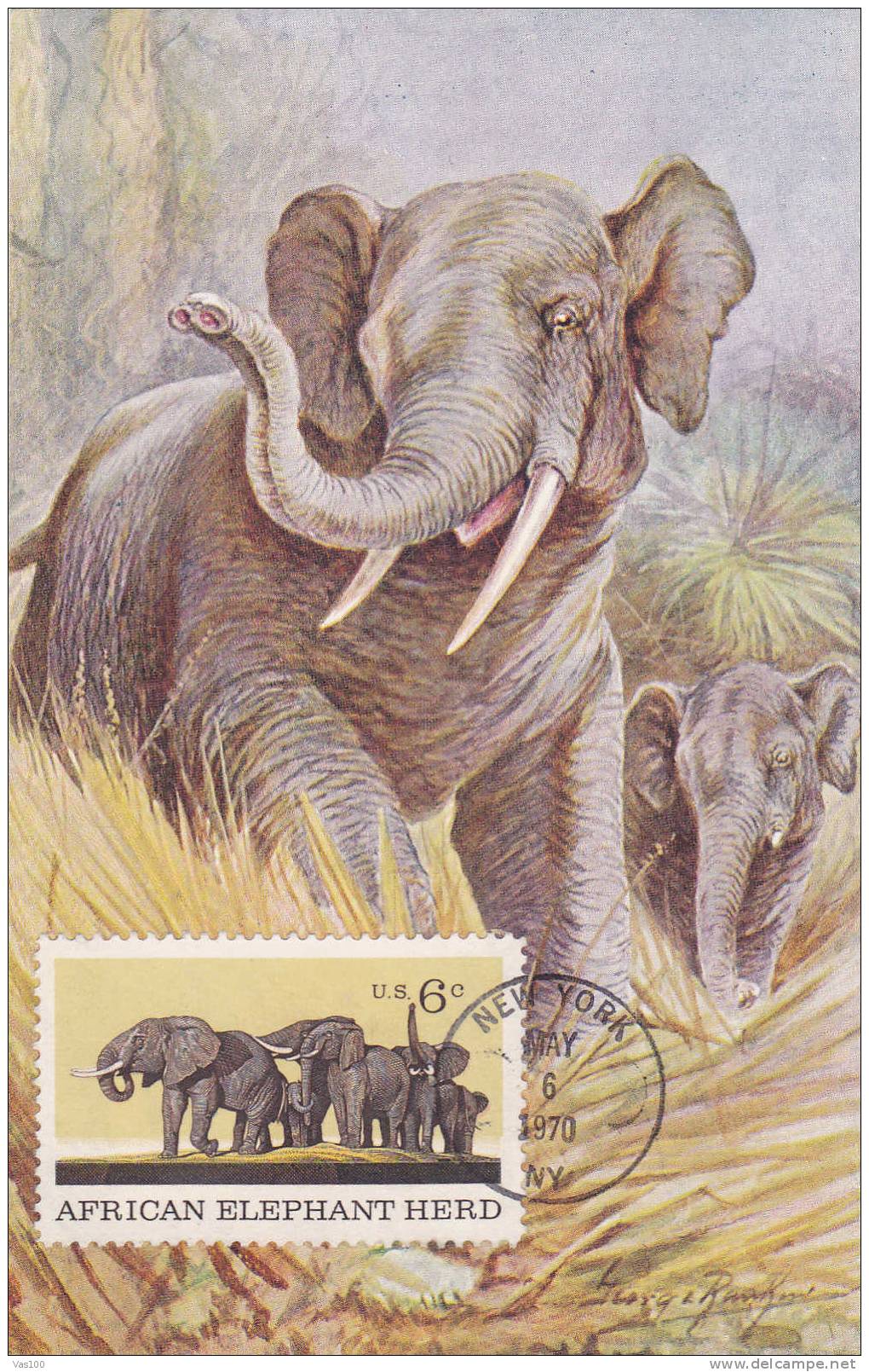 Elephants 1971 Maxicard Cartes Maximum,obliteration FDC United States USA. - Eléphants