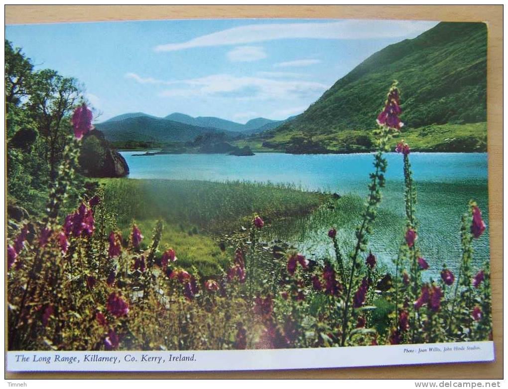 N°2-73.The Long Range-Killarney Ireland-fleurs Lac - Kerry