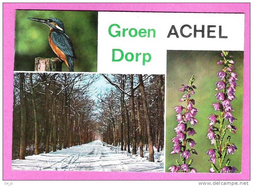 Achel Groen Dorp Met Ijsvogel Orchidee En Winterlandschap - Hamont-Achel