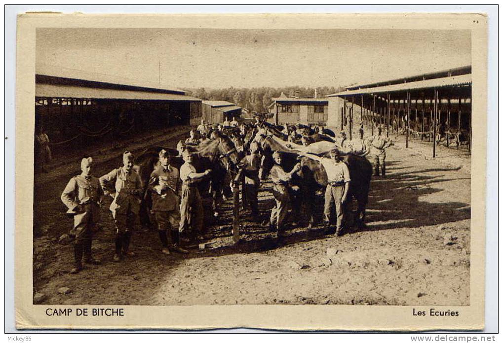 BITCHE--Camp De BITCHE---Les écuries (très Animée,soldats, Chevaux) ,éd Art Hélias - Bitche