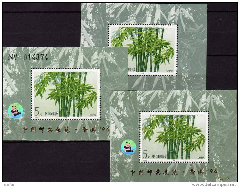 Pandabär Hongkong 1996 Hologramm China Block 62, 62I Plus No. ** 28€ Bambus-Gewächs Panda WWF Bloc Nature Sheet Bf Chine - Blocks & Sheetlets