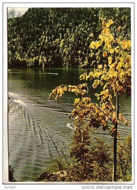 GOOD OLD USSR / GEORGIA  POSTCARD - Georgia - Lake Ritsa - Georgia