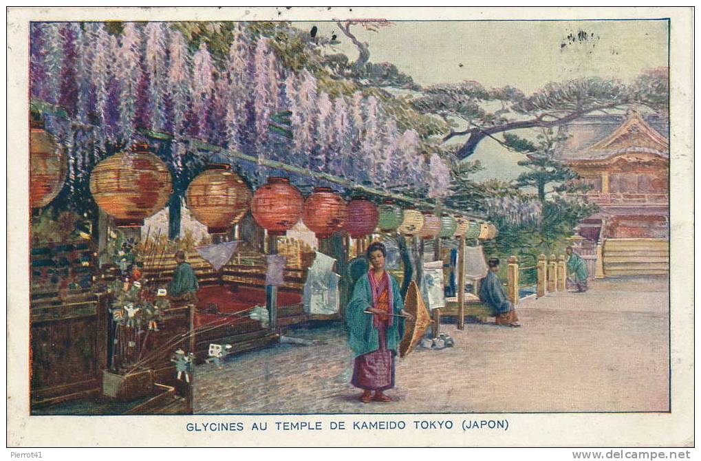 JAPON -  Glycines Au Temple De KAMEIDO - TOKYO - Tokyo