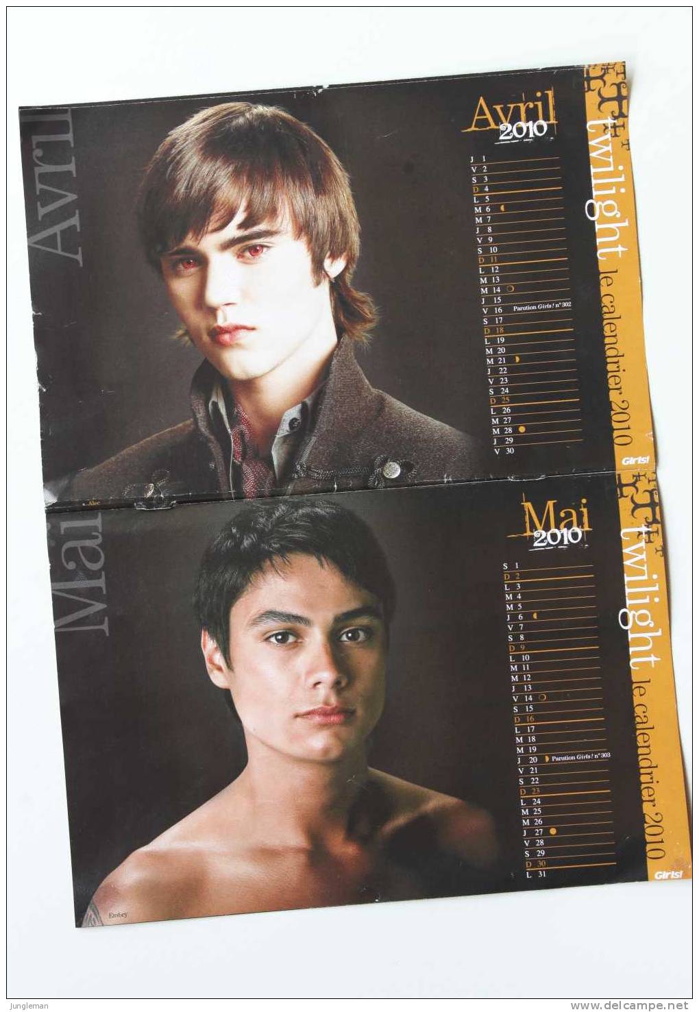 Calendrier 2010 - Twilight - Robert Pattinson - Other & Unclassified