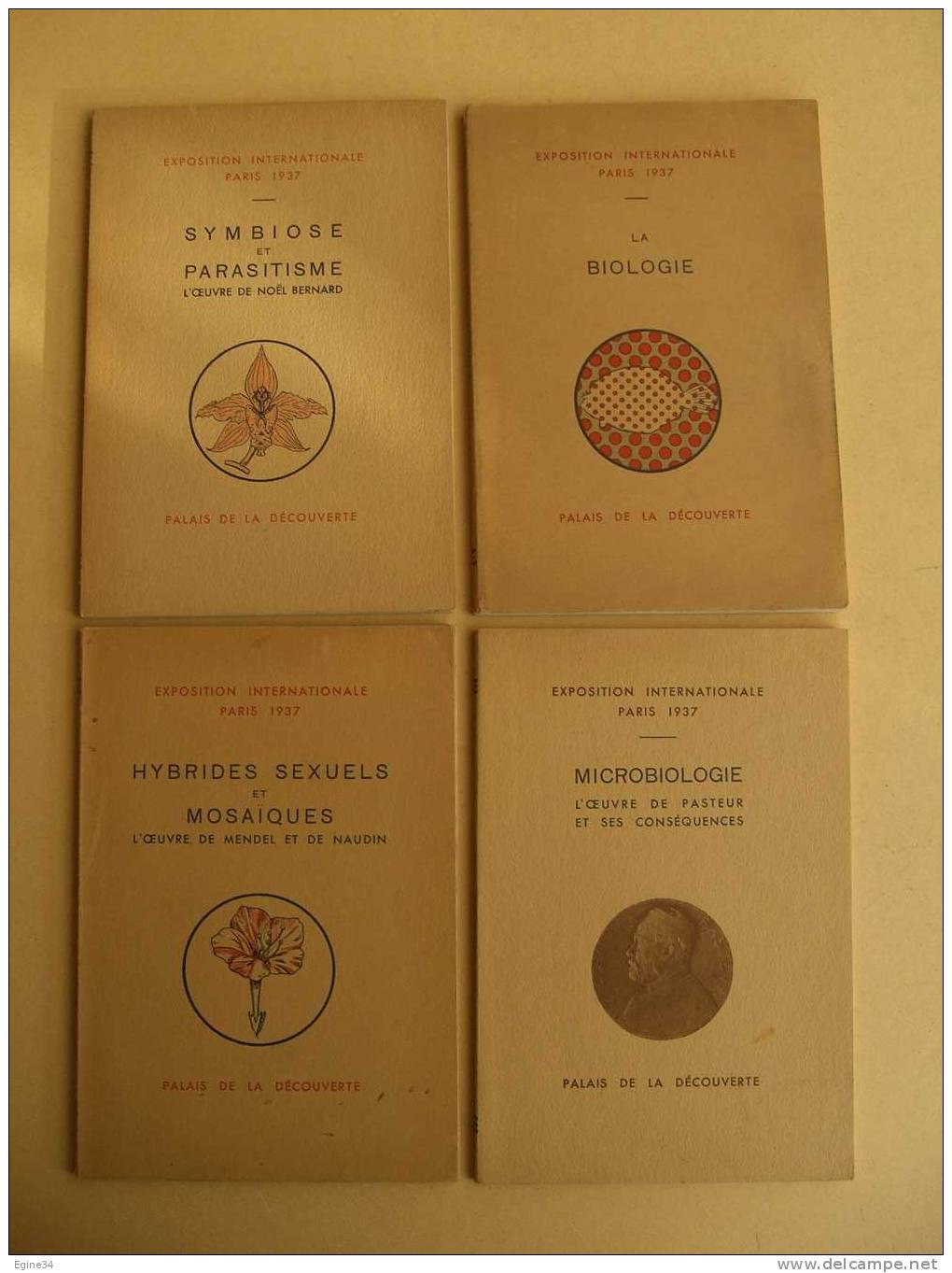 Exposition Internationale Paris 1937 - Microbiologie Pasteur -Biologie -Symbiose N. Bernard- Hybride Sexuels Mosaïques - Ciencia