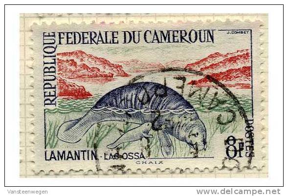 Cameroun Y&T 347 Oblitere - Cameroun (1960-...)