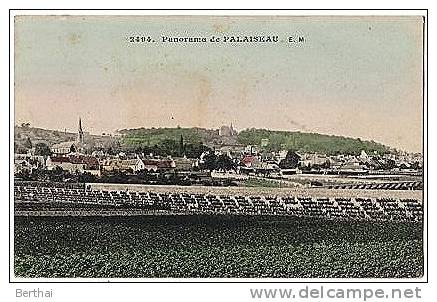 91 Panorama De PALAISEAU - Palaiseau