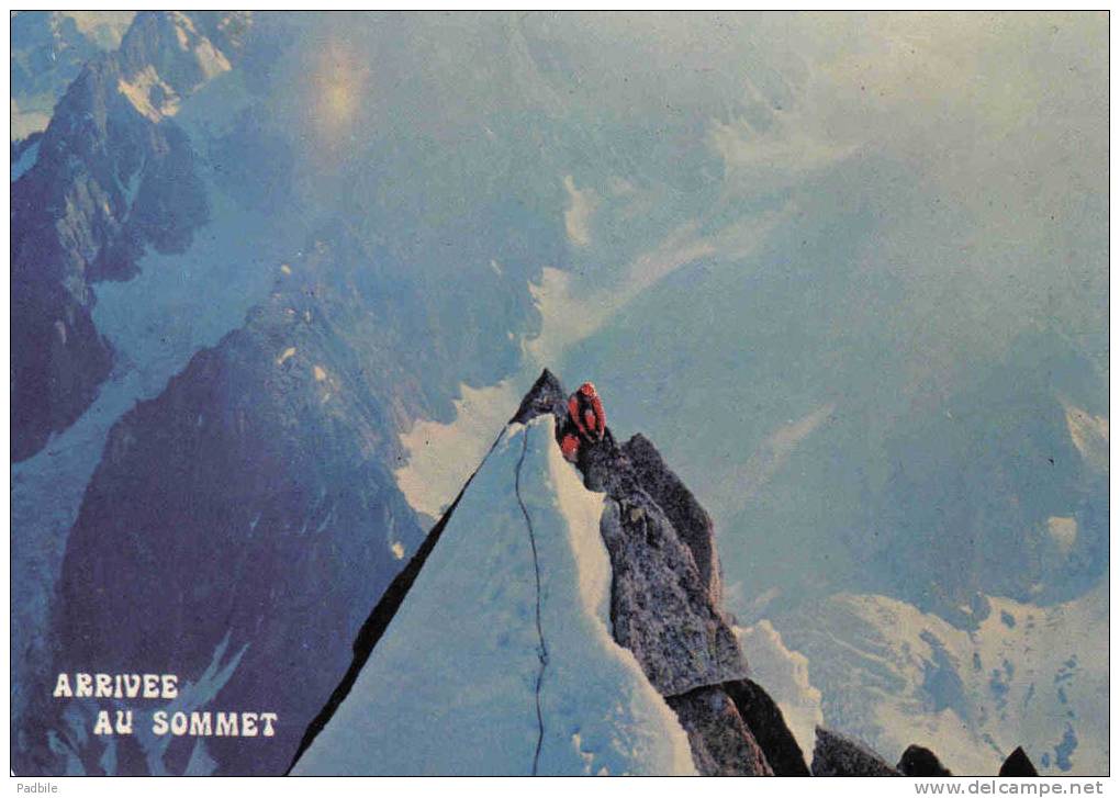 Carte Postale  Escalade  Alpinisme Arrivée Au Sommet Trés Beau Plan - Escalade