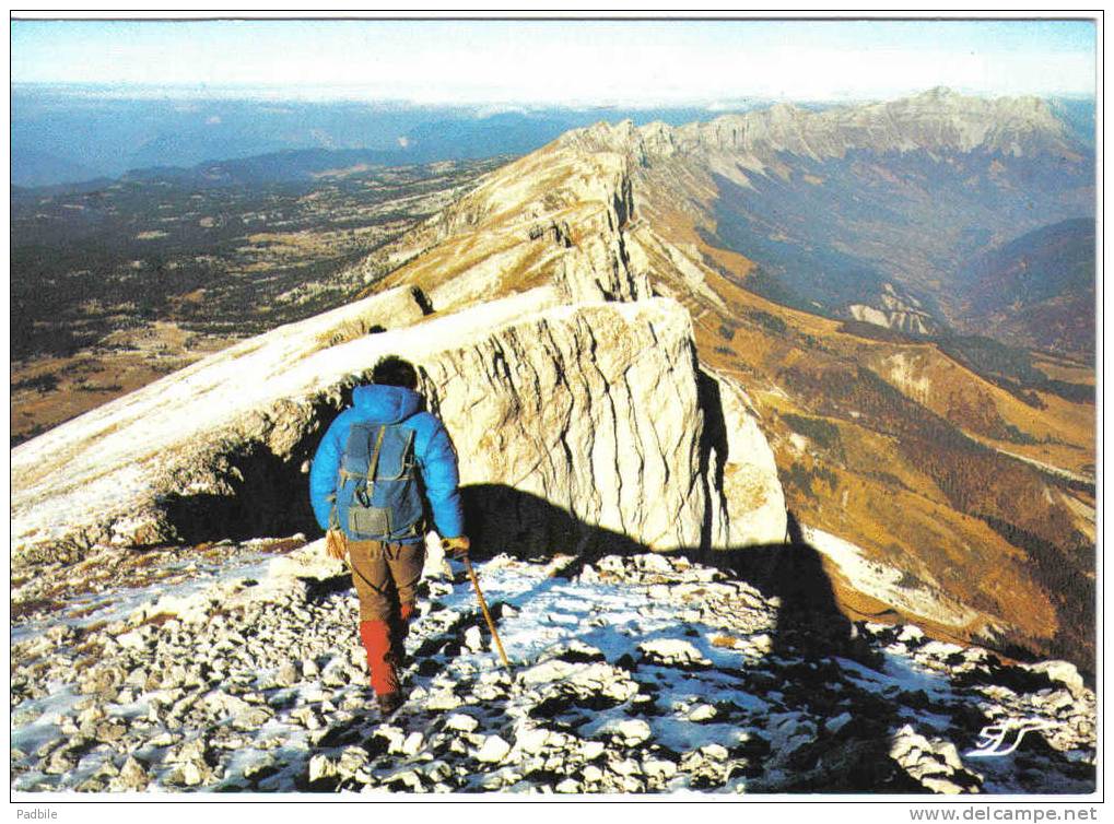 Carte Postale  Escalade  Alpinisme Sommet Du Grand Veymont Trés Beau Plan - Escalada