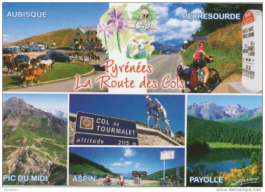 Cp , 65 , LES PYRÉNÉES , Sur La Route Des Grands Cols Aubisque ,Peyresourde , Tourmalet , Aspin , Payolle - Altri & Non Classificati