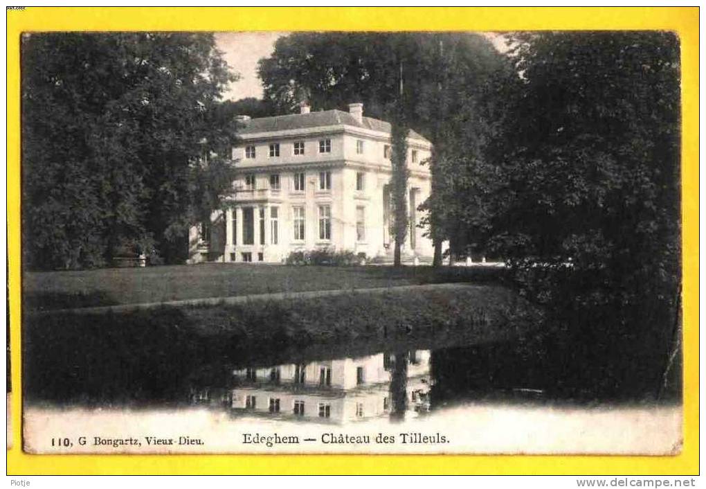 * Edegem - Edeghem (Antwerpen - Anvers) * (G. Bongartz, Vieux-Dieu, Nr 110) Chateau Des Tilleuls, Kasteel, Top CPA - Edegem