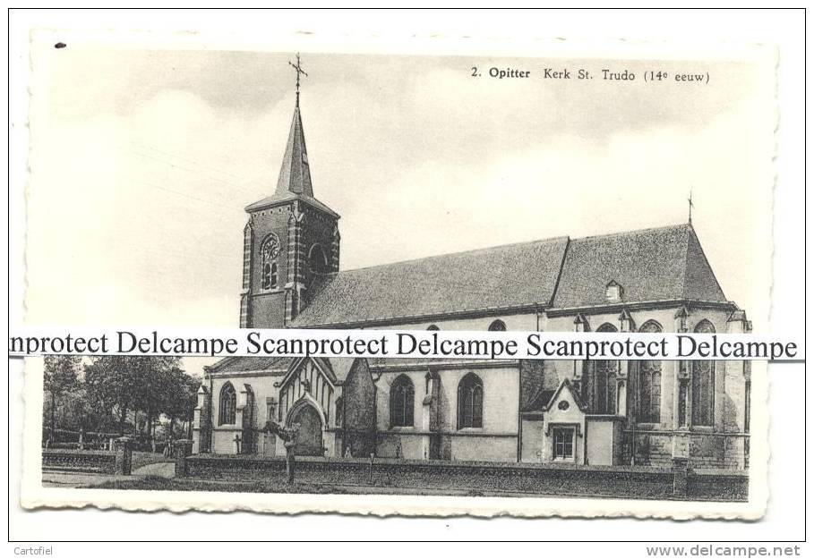 OPITTER-KERK ST. TRUDO-14DE EEUW - Bree