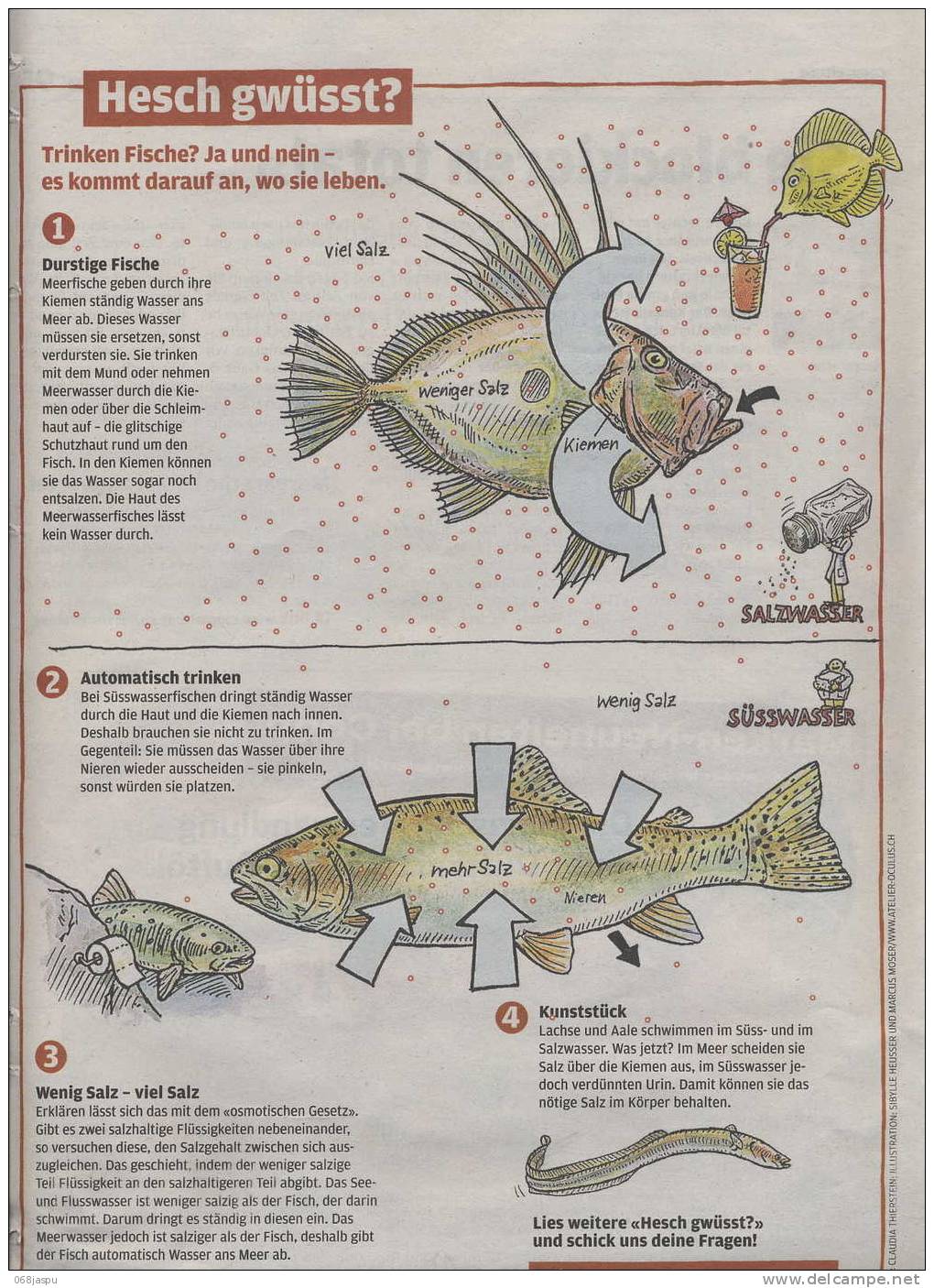 Page Coop Theme Poisson Et Respiration - Andere & Zonder Classificatie