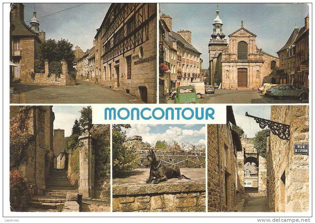 CPM 22 MONCONTOUR MULTIVUE CHIEN DOGUE ALLEMAND CHAMPION POSTE EGLISE PORTES ETC... - Moncontour