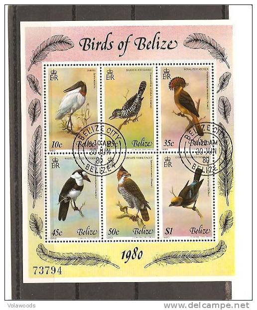 Belize - Foglietto Usato: Uccelli Del Belize - Belize (1973-...)