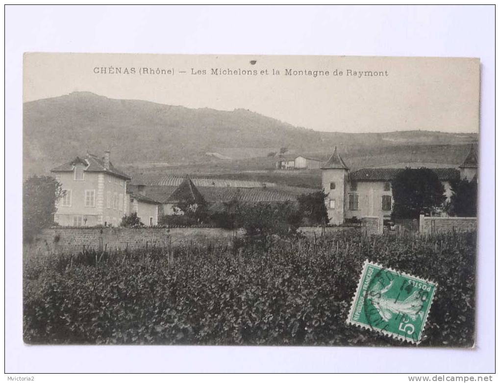 CHENAS - Les Michelons Et La Montagne De Raymont - Chenas