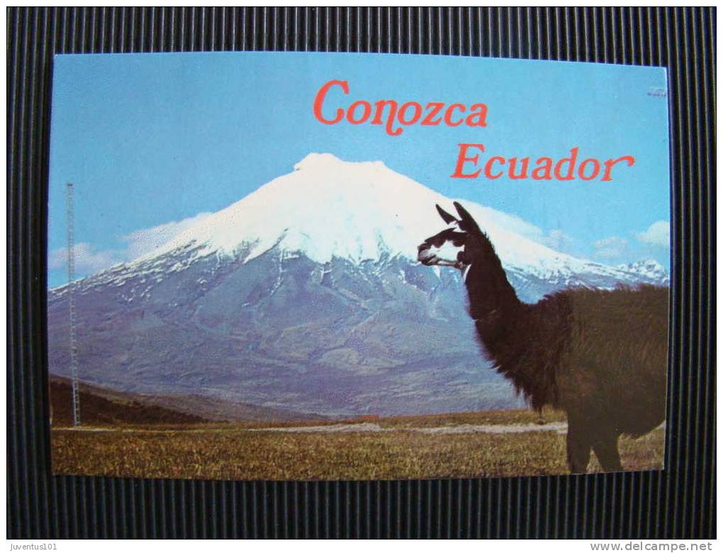 CPSM EQUATEUR-Conozca - Equateur