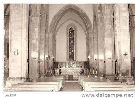 LARINO ( CAMPOBASSO ) BASILICA CATTEDRALE - INTERNO - Campobasso