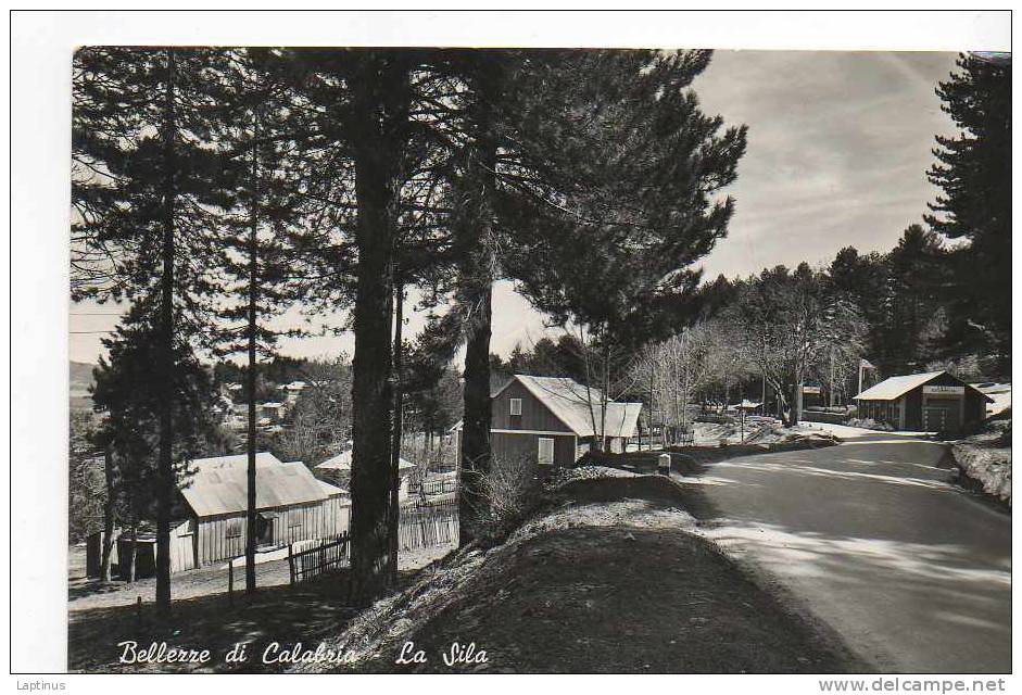 LA SILA BELLEZZA DI CALABRIA ANNI 50 - Catanzaro