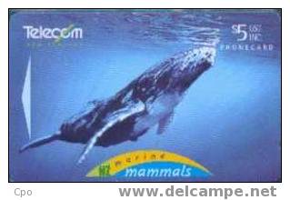 # NEW_ZEALAND NZ25S_1 Marine Mammals - Humpback Whale Gpt 01.95 -animal,baleine,whale- Tres Bon Etat - Nieuw-Zeeland