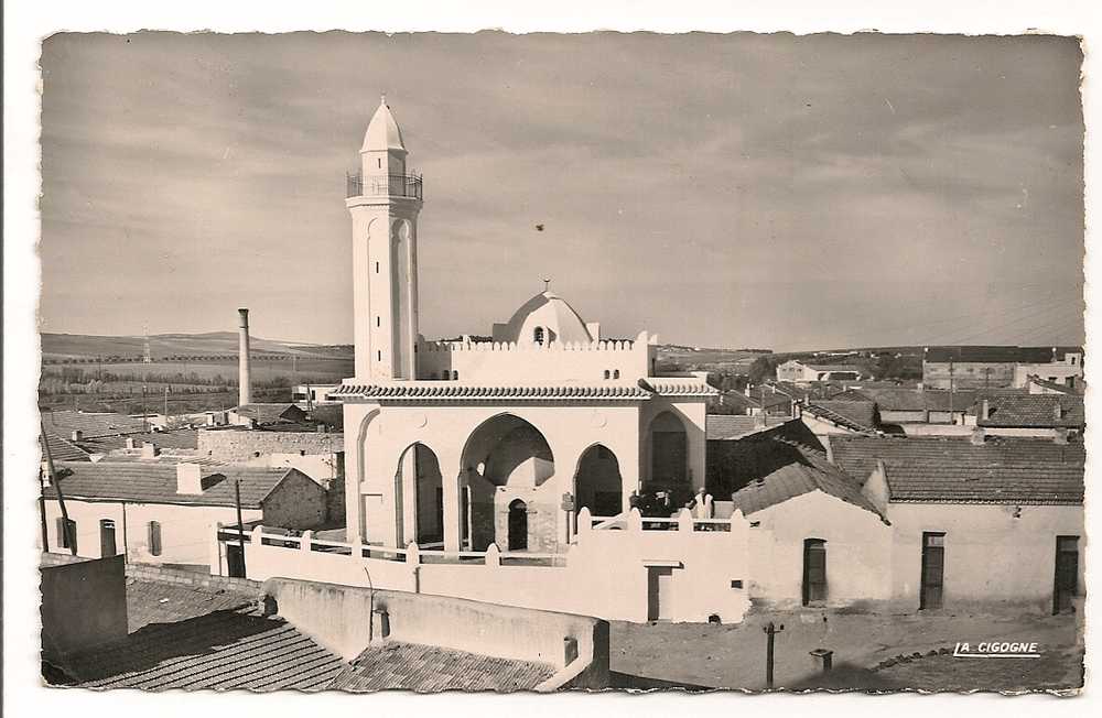 AIN TEMOUCHENT 1955 LA MOSQUEE DU FAUBOURG SAINT ANDRE   CP2691 - Alger