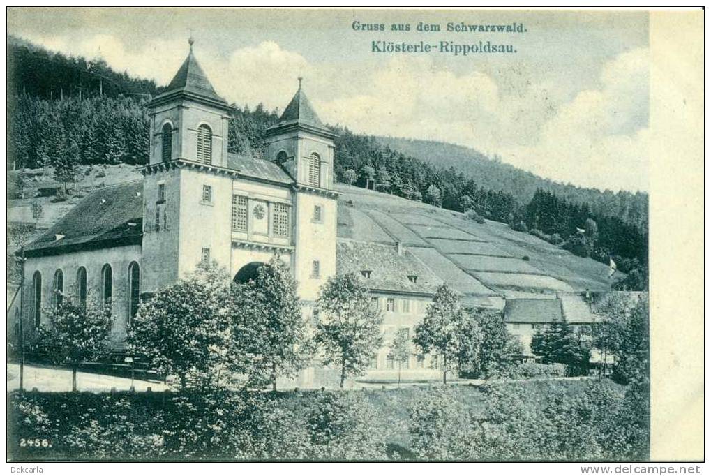 Gruss Aus Dem Schwarzwald - Klösterle-Rippoldsau - Bad Rippoldsau - Schapbach