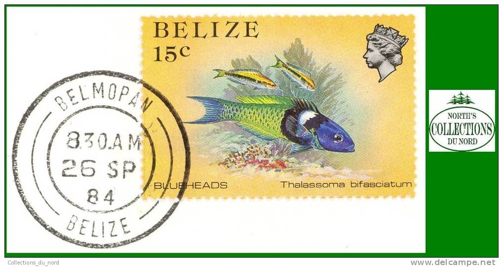 Belize Stamp # 706 Belmopan Obl. / Timbre Belize - Belize (1973-...)