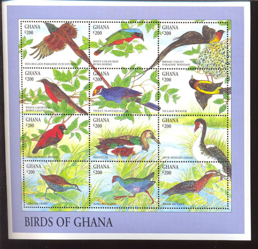 MINT NEVER HINGED MINI SHEET OF BIRDS   #   M-295-1*   ( GHANA    1687 - Autres & Non Classés