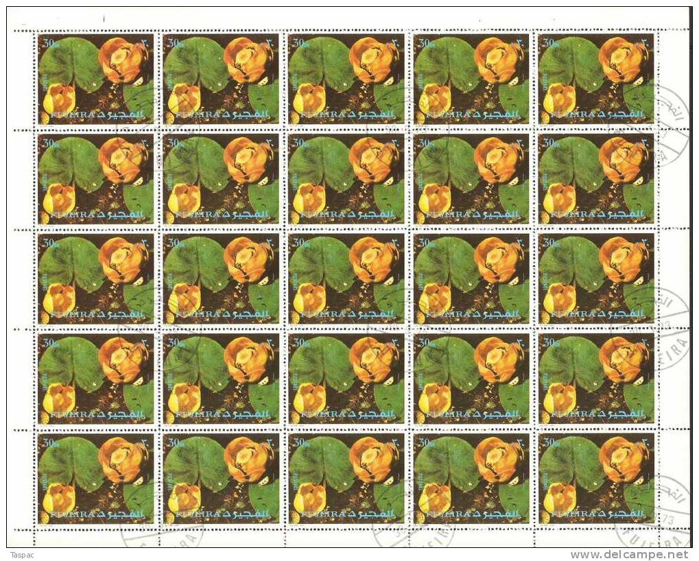 Fujeira 1972 Mi# 1332-1336 A Used - Sheets Of  25 - Flowers - Fujeira