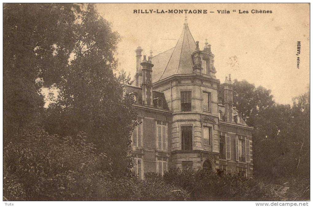 RILLY-LA-MONTAGNE VILLA LES CHENES - Rilly-la-Montagne