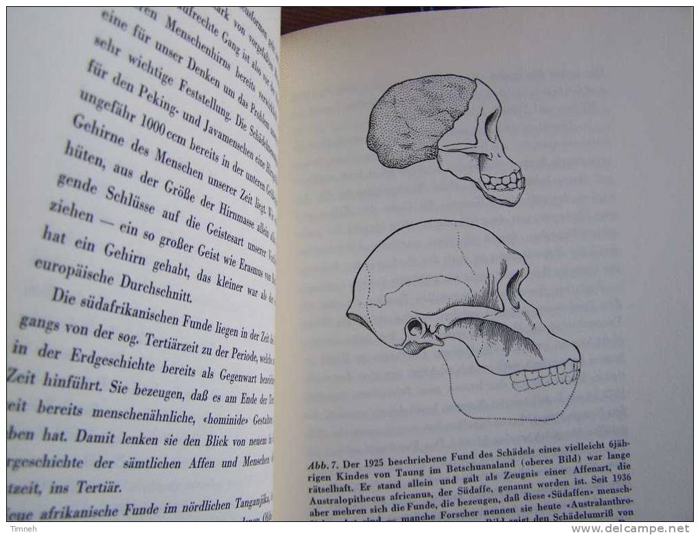 Vom Ursprung Des Menschen Adolf PORTMANN Ein Querschnitt Durch Die Forschungsergebnisse-Zeichnungen Bousani-Baur- - Natuur