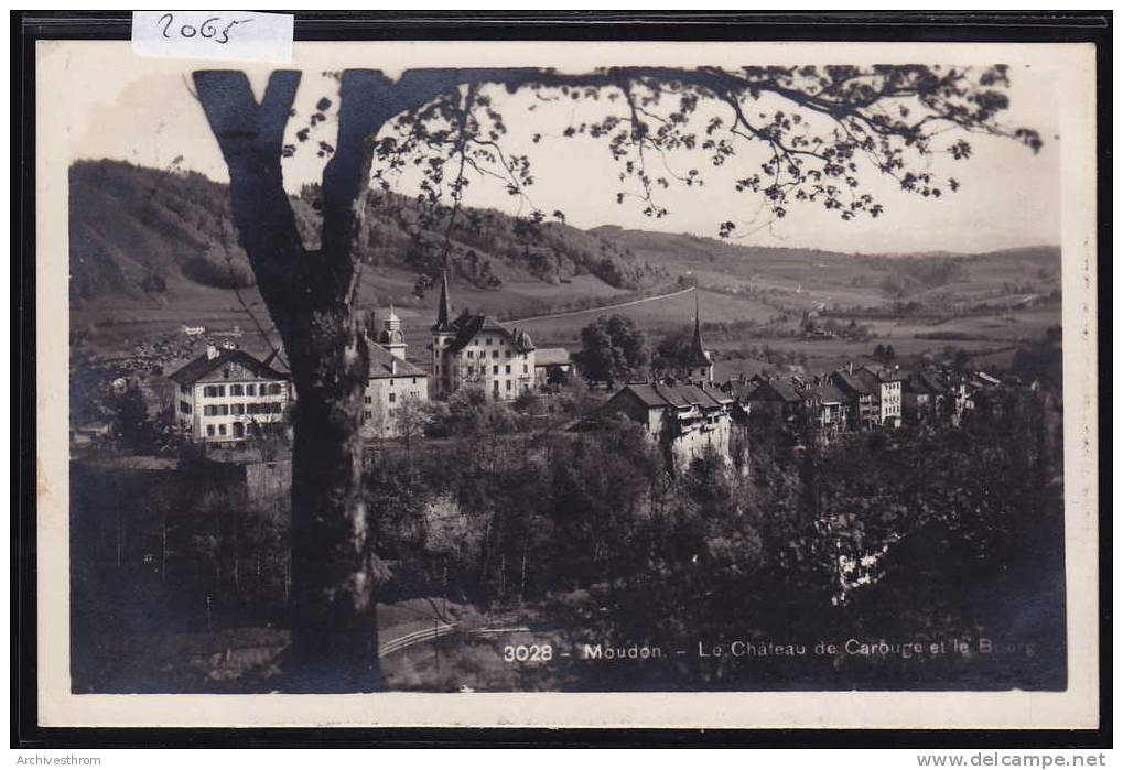 Moudon - Le Château De Carouge Et Le Bourg (2065) - Moudon