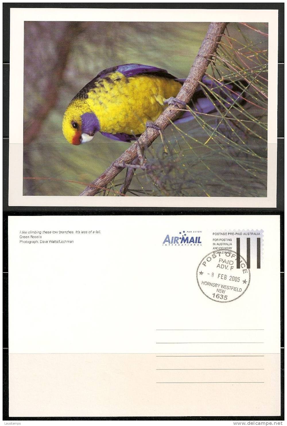 Australia 2005 Green Rosella, Prepaid Postcard With First Day Cancelled - Parrots